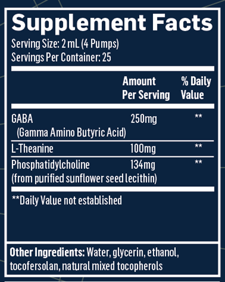 Quicksilver, GABA with L-Theanine 1.7 fl oz
