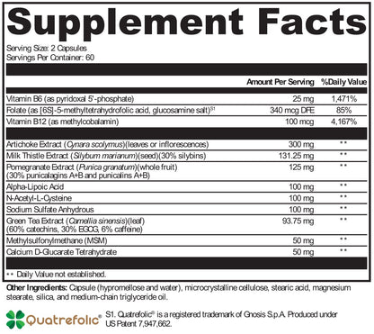 LIVER SUPPORT